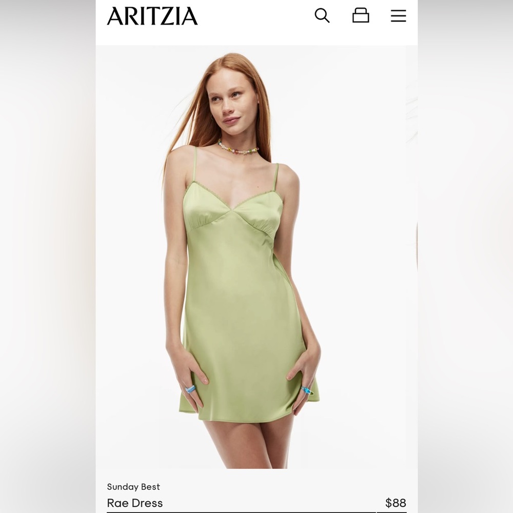 Aritzia Rae dress